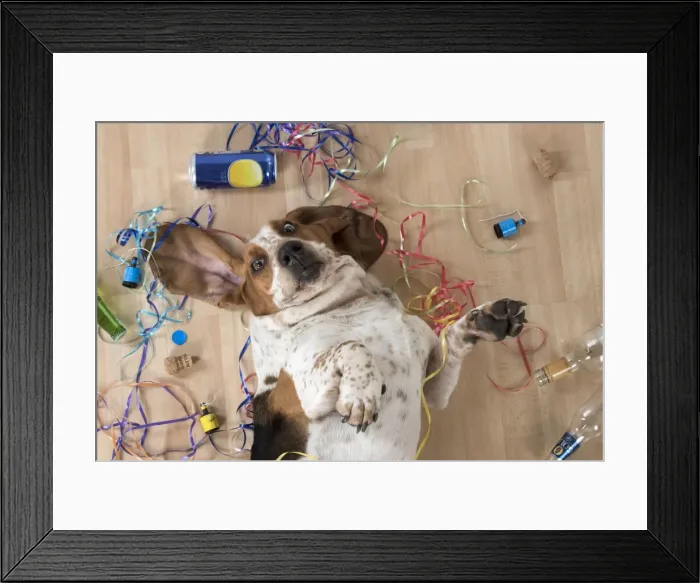 Framed Print : Picture No. 11772179 Framed Print : Picture No. 11772179
