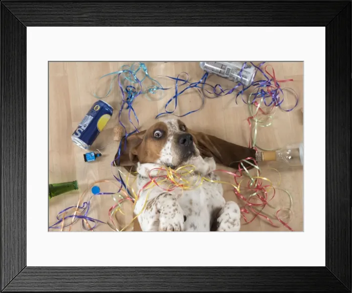 Framed Print : Picture No. 11772178 Framed Print : Picture No. 11772178