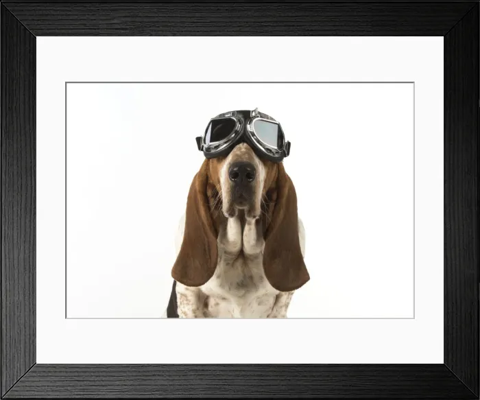 Framed Print : Picture No. 11772184 Framed Print : Picture No. 11772184