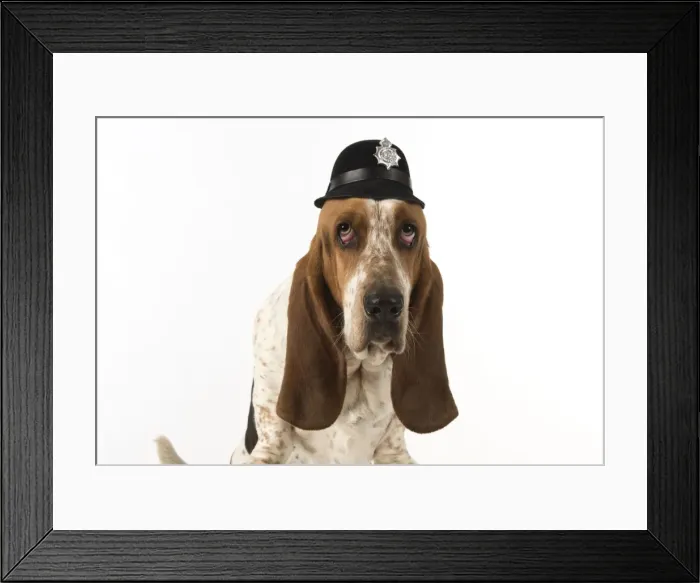 Framed Print : Picture No. 11772186 Framed Print : Picture No. 11772186
