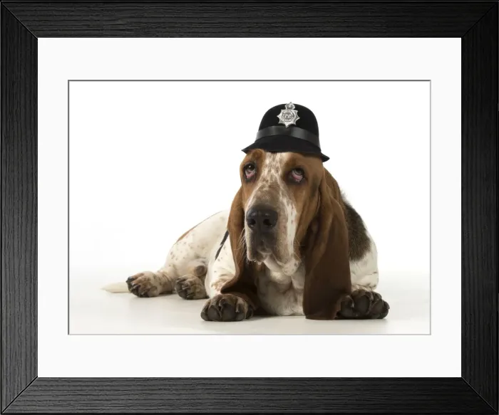 Framed Print : Picture No. 11772187 Framed Print : Picture No. 11772187