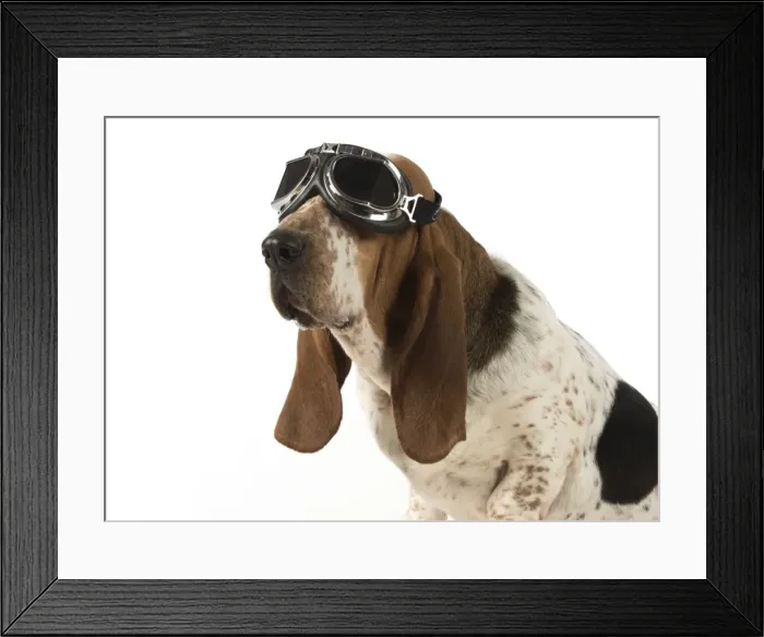Framed Print : Picture No. 11772185