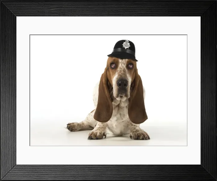 Framed Print : Picture No. 11772189 Framed Print : Picture No. 11772189