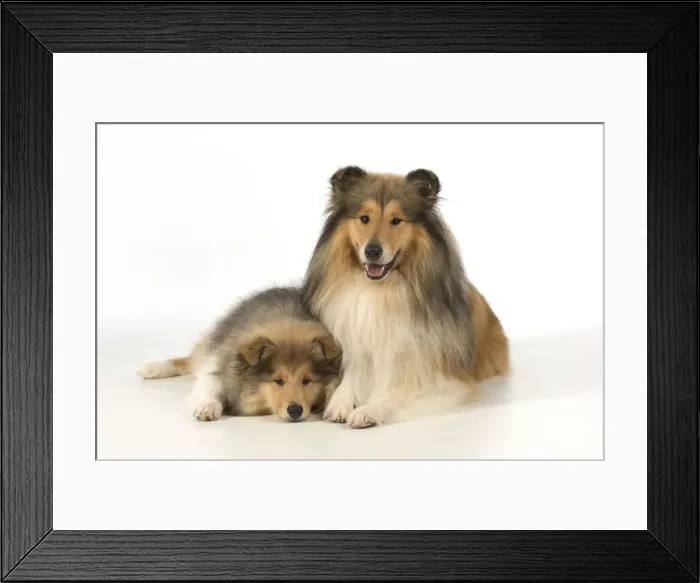 Framed Print : Picture No. 11772206 Framed Print : Picture No. 11772206