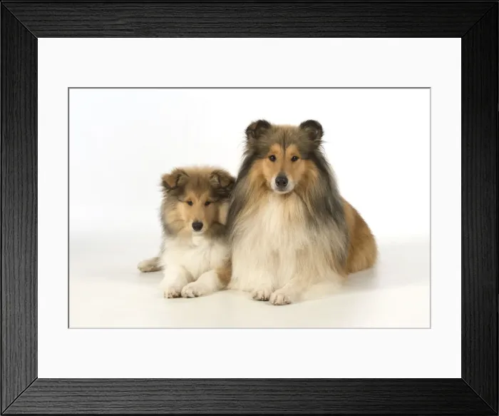 Framed Print : Picture No. 11772207 Framed Print : Picture No. 11772207