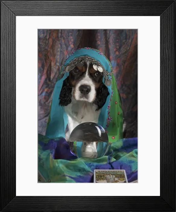 Framed Print : Picture No. 11772217 Framed Print : Picture No. 11772217