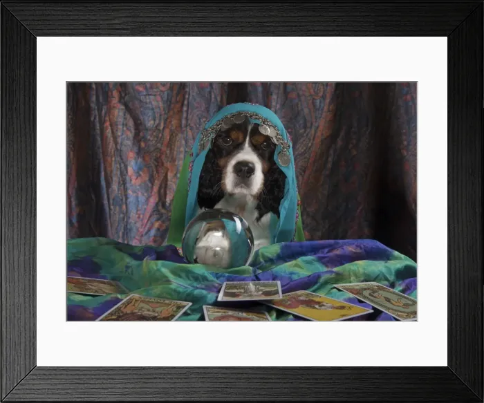 Framed Print : Picture No. 11772216 Framed Print : Picture No. 11772216