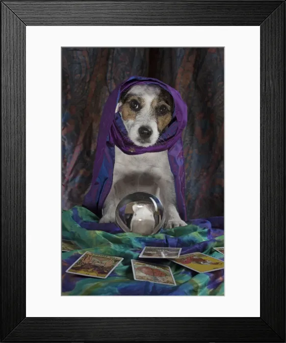 Framed Print : Picture No. 11772219 Framed Print : Picture No. 11772219