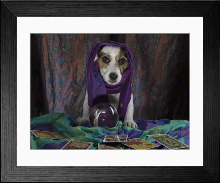 Framed Print : Picture No. 11772218 Framed Print : Picture No. 11772218