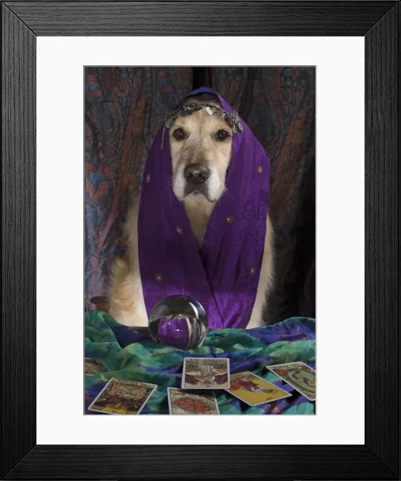 Framed Print : Picture No. 11772220 Framed Print : Picture No. 11772220