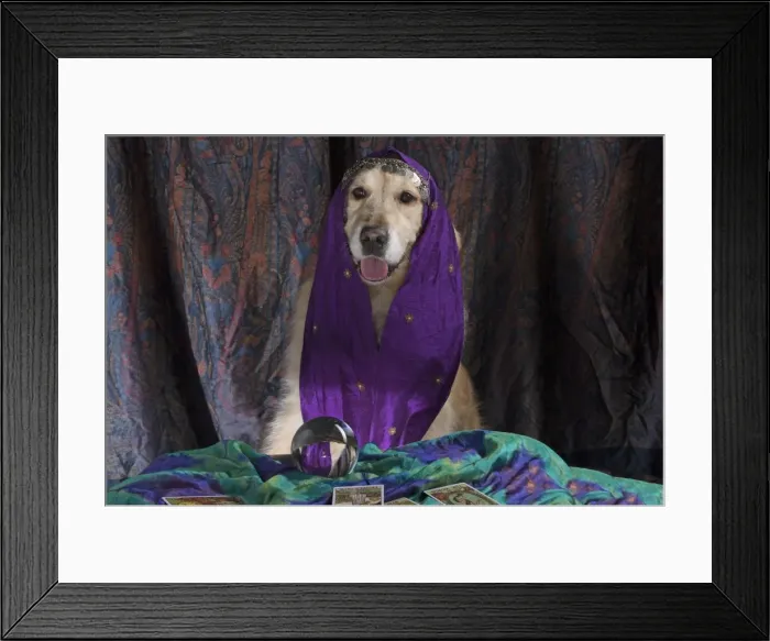 Framed Print : Picture No. 11772222 Framed Print : Picture No. 11772222