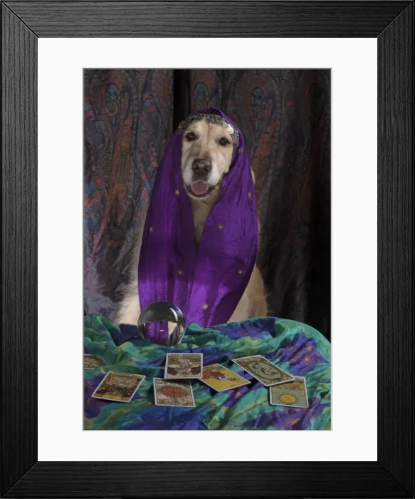 Framed Print : Picture No. 11772223 Framed Print : Picture No. 11772223