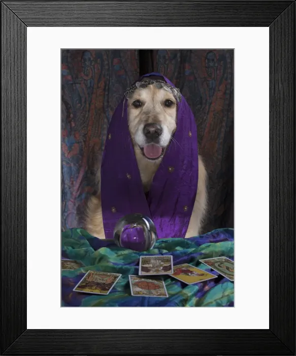 Framed Print : Picture No. 11772221 Framed Print : Picture No. 11772221