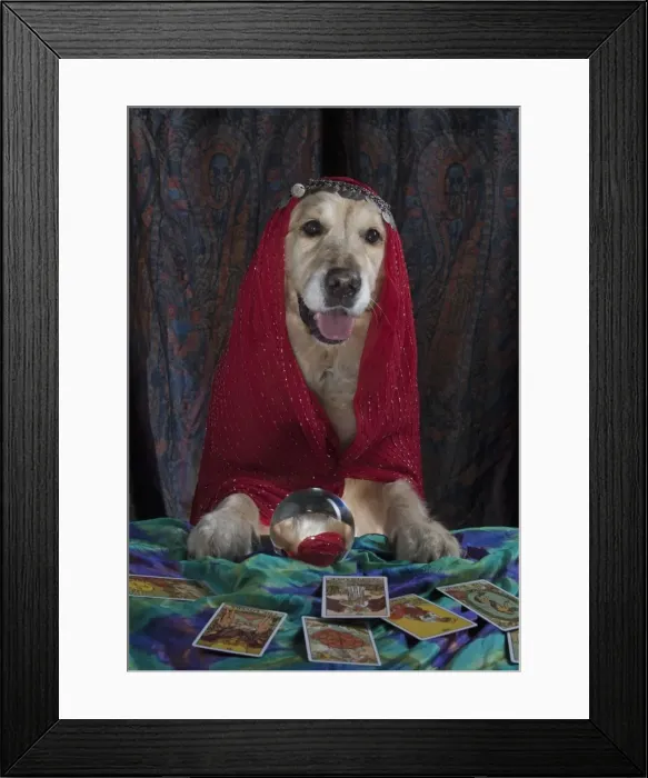Framed Print : Picture No. 11772225 Framed Print : Picture No. 11772225