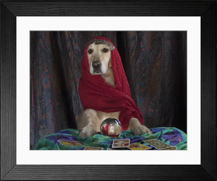 Framed Print : Picture No. 11772224 Framed Print : Picture No. 11772224