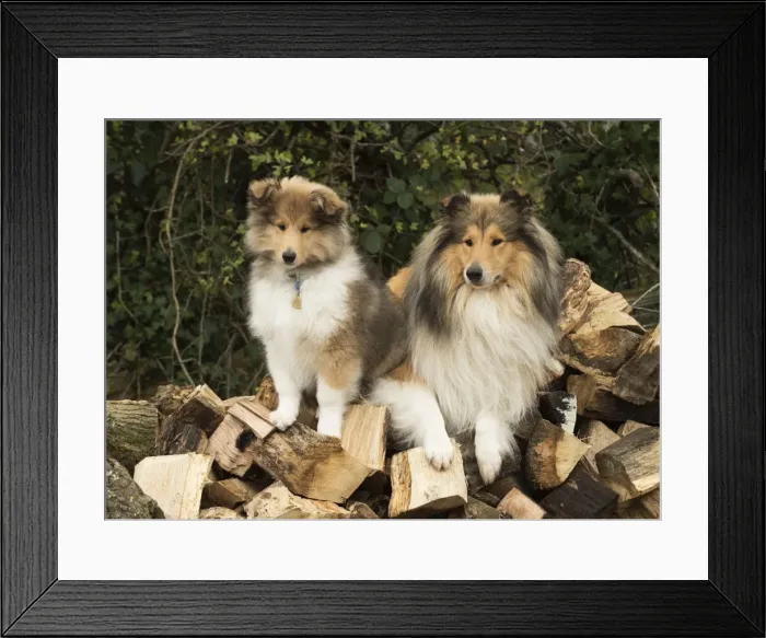 Framed Print : Picture No. 11772240 Framed Print : Picture No. 11772240