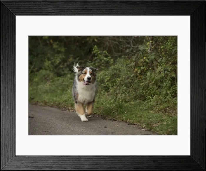 Framed Print : Picture No. 11772250 Framed Print : Picture No. 11772250
