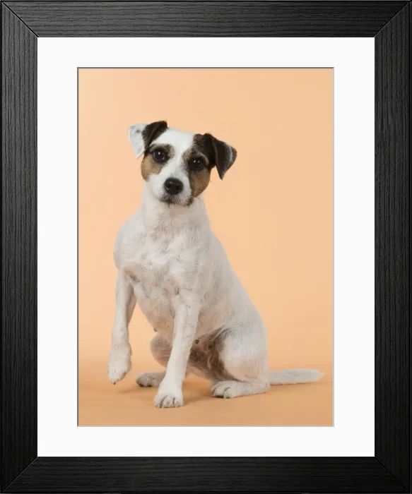 Framed Print : Picture No. 11772282 Framed Print : Picture No. 11772282