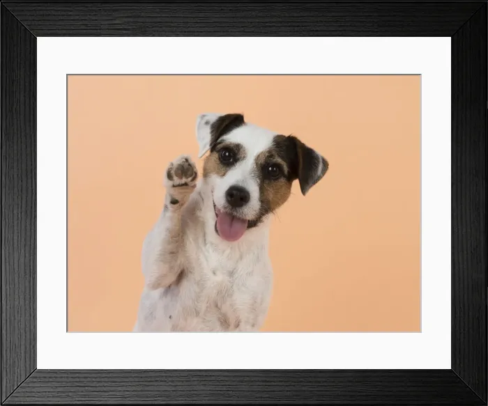 Framed Print : Picture No. 11772281 Framed Print : Picture No. 11772281