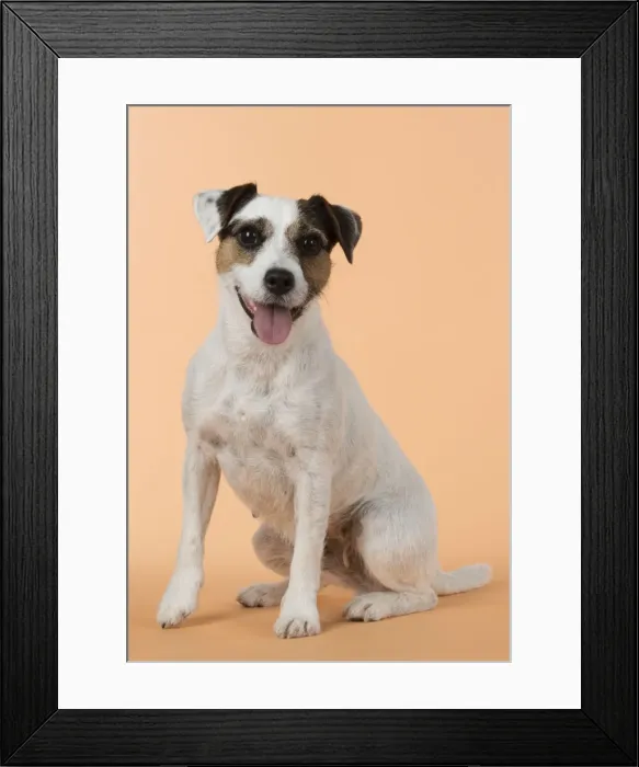 Framed Print : Picture No. 11772284 Framed Print : Picture No. 11772284