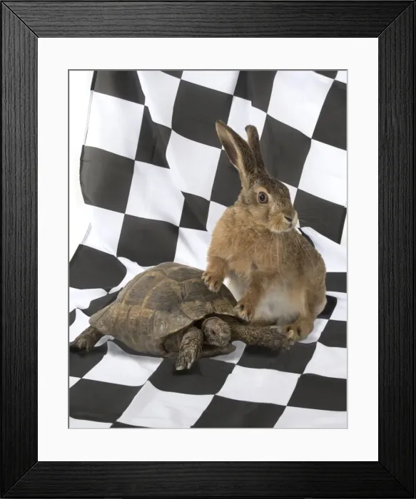 Framed Print : Picture No. 11772286 Framed Print : Picture No. 11772286