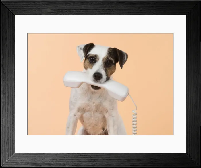 Framed Print : Picture No. 11772287 Framed Print : Picture No. 11772287