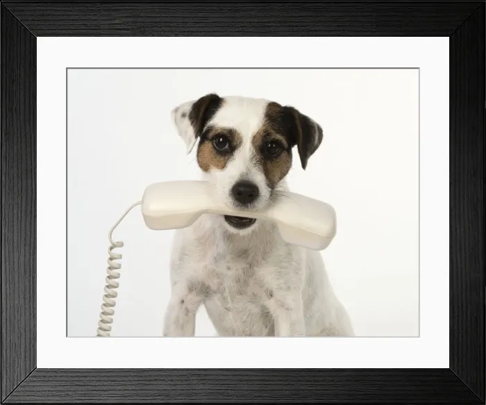 Framed Print : Picture No. 11772289 Framed Print : Picture No. 11772289