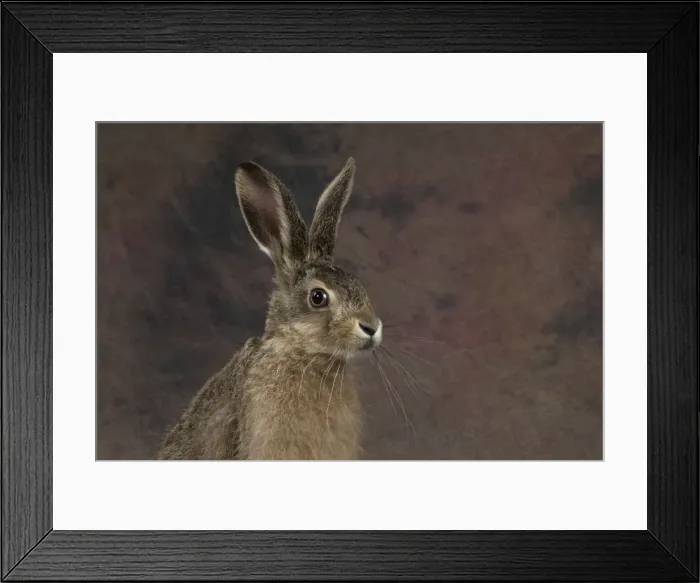 Framed Print : Picture No. 11772290 Framed Print : Picture No. 11772290