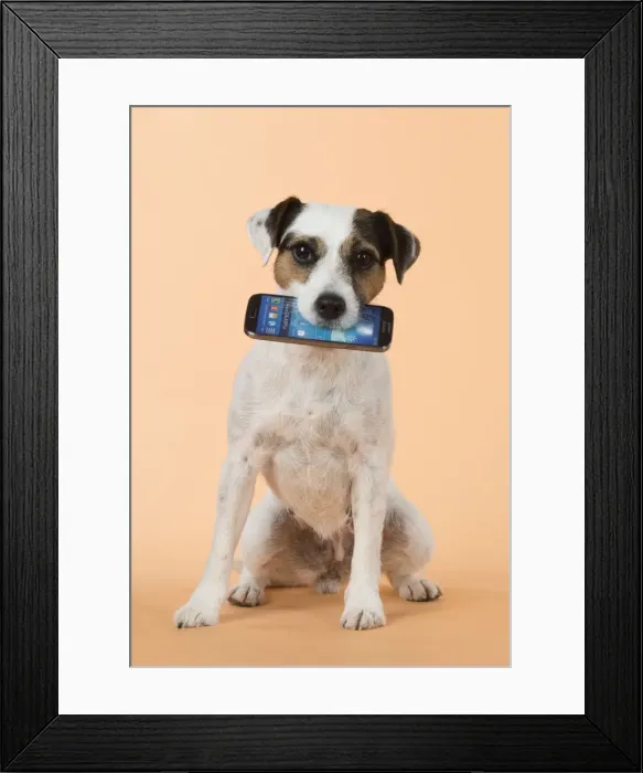 Framed Print : Picture No. 11772291 Framed Print : Picture No. 11772291