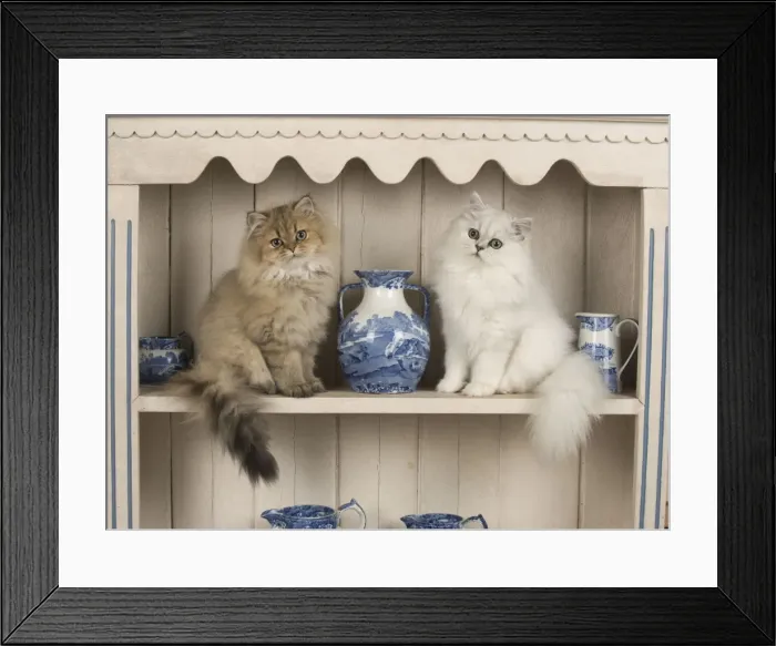 Framed Print : Picture No. 11772313 Framed Print : Picture No. 11772313