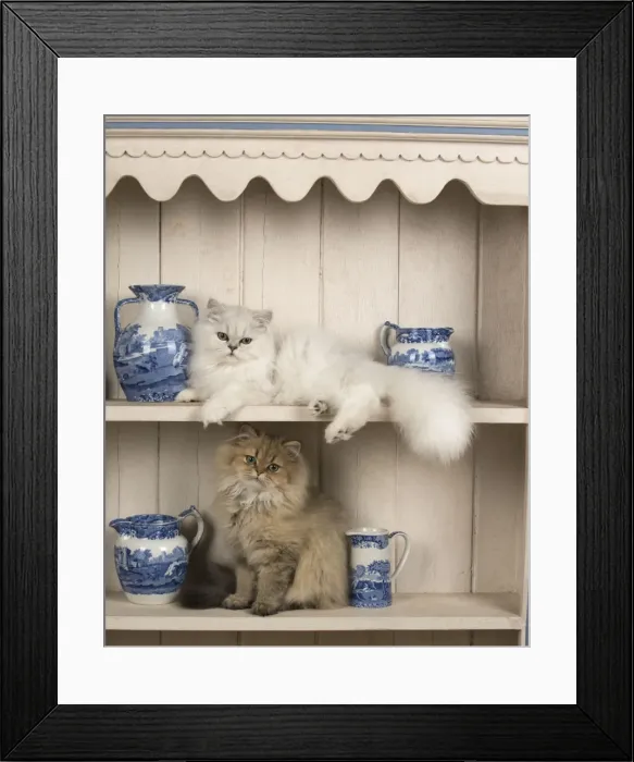 Framed Print : Picture No. 11772314 Framed Print : Picture No. 11772314