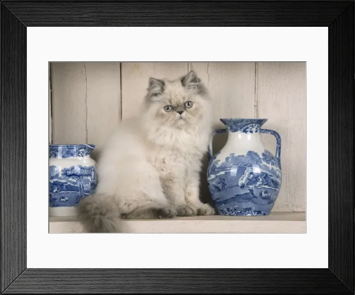 Framed Print : Picture No. 11772315 Framed Print : Picture No. 11772315