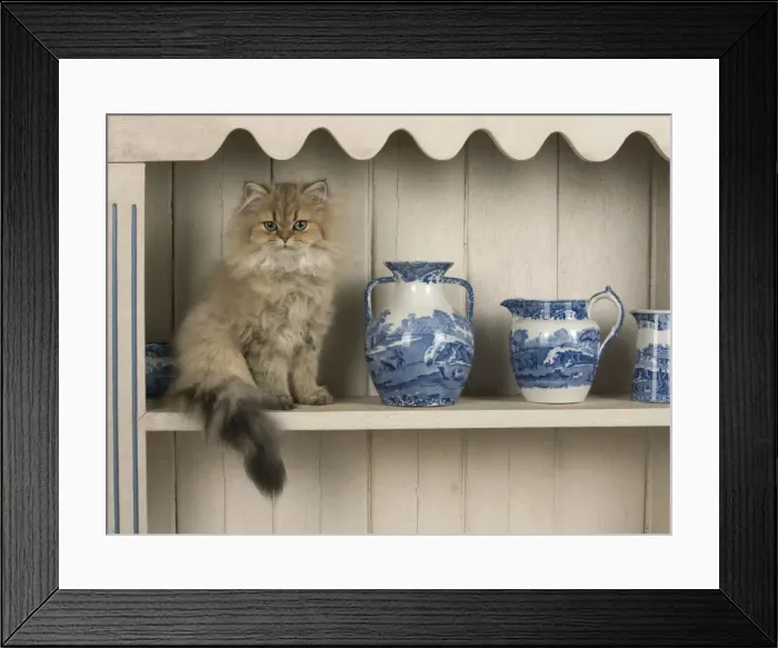 Framed Print : Picture No. 11772316 Framed Print : Picture No. 11772316