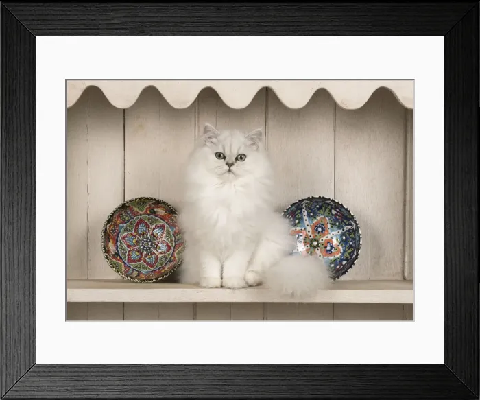Framed Print : Picture No. 11772318 Framed Print : Picture No. 11772318