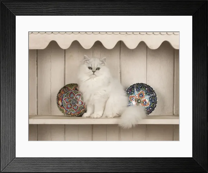 Framed Print : Picture No. 11772319 Framed Print : Picture No. 11772319