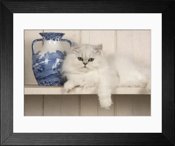 Framed Print : Picture No. 11772320 Framed Print : Picture No. 11772320