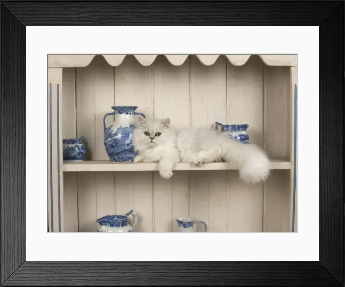 Framed Print : Picture No. 11772321 Framed Print : Picture No. 11772321