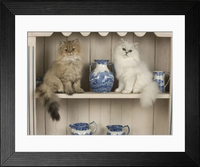 Framed Print : Picture No. 11772312 Framed Print : Picture No. 11772312