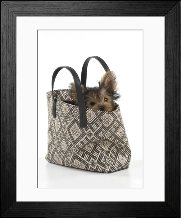 Framed Print : Picture No. 11772374 Framed Print : Picture No. 11772374