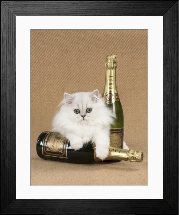 Framed Print : Picture No. 11772404 Framed Print : Picture No. 11772404