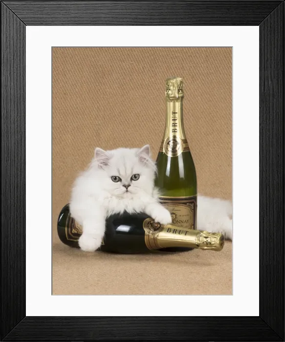 Framed Print : Picture No. 11772405 Framed Print : Picture No. 11772405