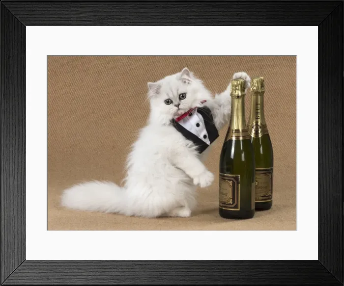 Framed Print : Picture No. 11772406 Framed Print : Picture No. 11772406