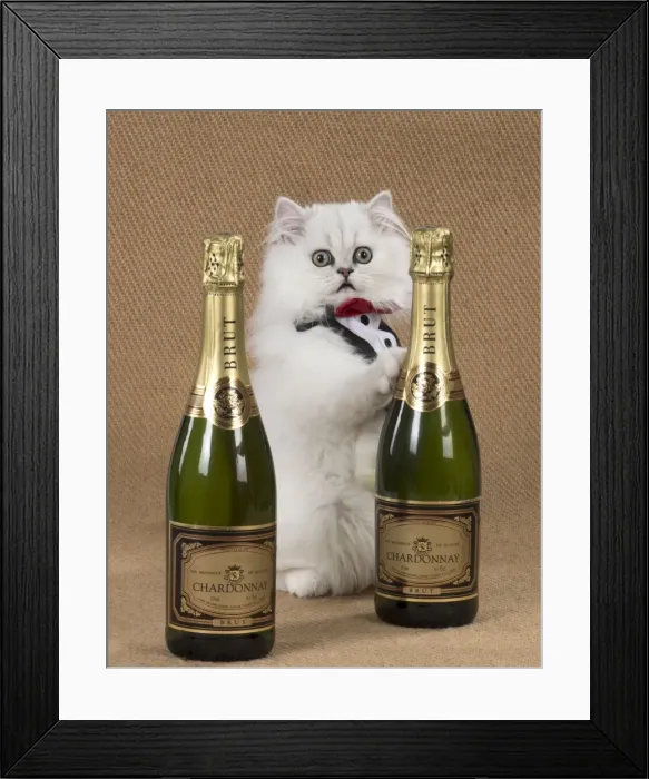 Framed Print : Picture No. 11772407 Framed Print : Picture No. 11772407