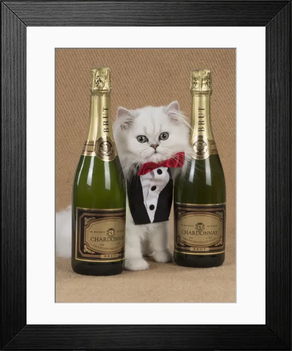 Framed Print : Picture No. 11772408 Framed Print : Picture No. 11772408