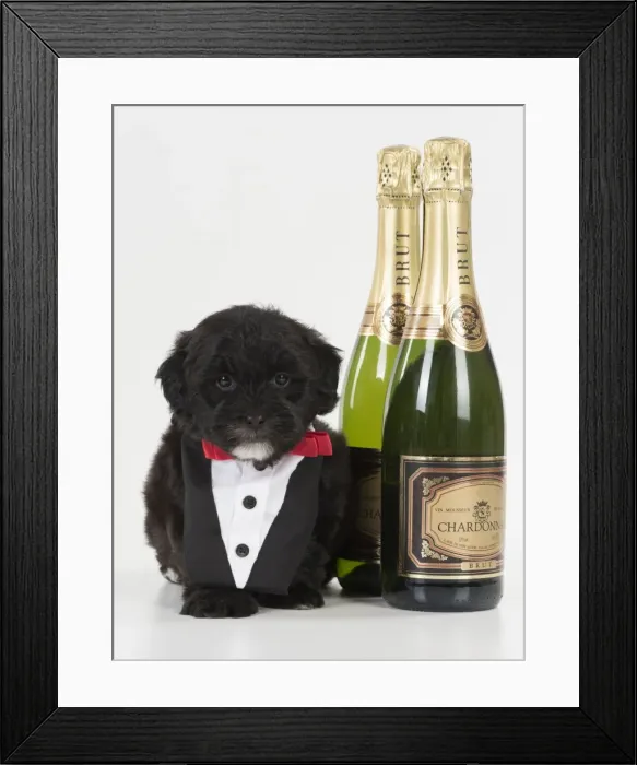 Framed Print : Picture No. 11772410 Framed Print : Picture No. 11772410