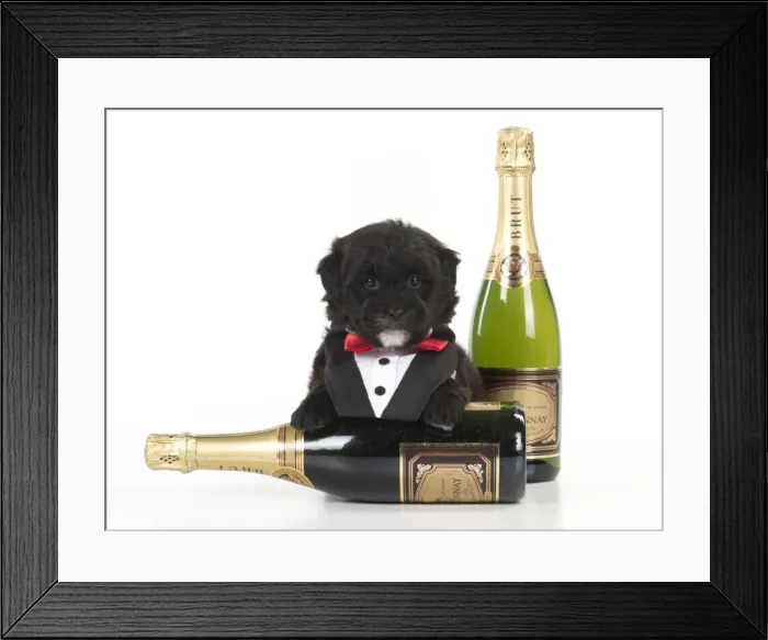 Framed Print : Picture No. 11772409 Framed Print : Picture No. 11772409