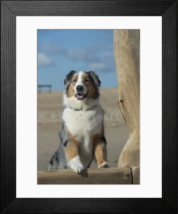 Framed Print : Picture No. 11772436 Framed Print : Picture No. 11772436