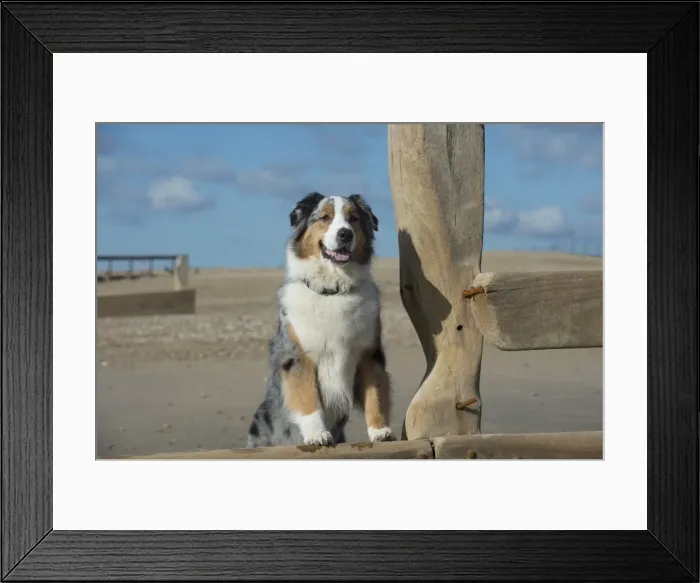 Framed Print : Picture No. 11772437 Framed Print : Picture No. 11772437