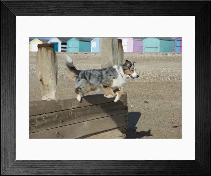 Framed Print : Picture No. 11772440 Framed Print : Picture No. 11772440