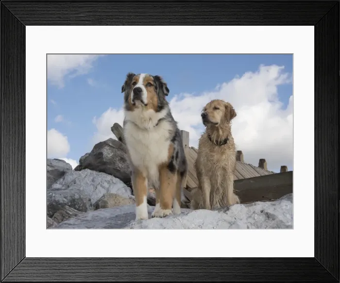 Framed Print : Picture No. 11772442 Framed Print : Picture No. 11772442
